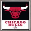 Trends International NBA Chicago Bulls - Logo 21 Wall Poster, 14.725" x 22.375", Barnwood Framed Version view 1