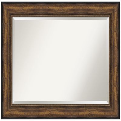 Amanti Art Bronze Wall Mirror 32x44 Ballroom Bronze Rectangle Bathroom Mirror for Wall Decor Living Room, Large Traditional Frame, Hangs Horizonally and Vertically, Bathroom Decor, Beveled Edge