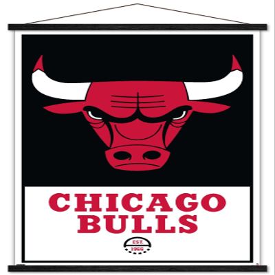Trends International NBA Chicago Bulls - Logo 21 Wall Poster, 22.375" x 34", Print and Black Hanger Bundle