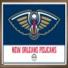 Trends International NBA New Orleans Pelicans - Logo 21 Wall Poster, 14.725" x 22.375", Bronze Framed Version view 1
