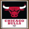 Trends International NBA Chicago Bulls - Logo 21 Wall Poster, 14.725" x 22.375", Bronze Framed Version view 1