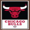 Trends International NBA Chicago Bulls - Logo 21 Wall Poster, 14.725" x 22.375", Mahogany Framed Version view 1
