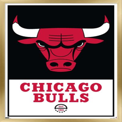 Trends International NBA Chicago Bulls - Logo 21 Wall Poster, 14.725" x 22.375", Gold Framed Version