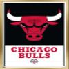 Trends International NBA Chicago Bulls - Logo 21 Wall Poster, 14.725" x 22.375", Gold Framed Version view 1
