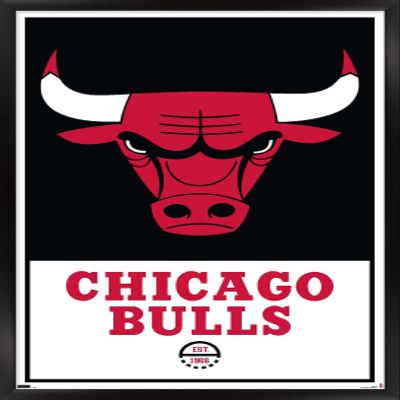 Trends International NBA Chicago Bulls - Logo 21 Wall Poster, 14.725" x 22.375", Black Framed Version