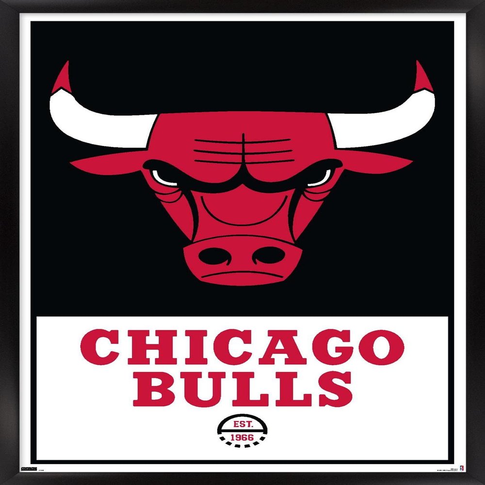 Trends International NBA Chicago Bulls - Logo 21 Wall Poster, 14.725" x 22.375", Black Framed Version