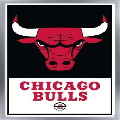Trends International NBA Chicago Bulls - Logo 21 Wall Poster, 14.725" x 22.375", Silver Framed Version