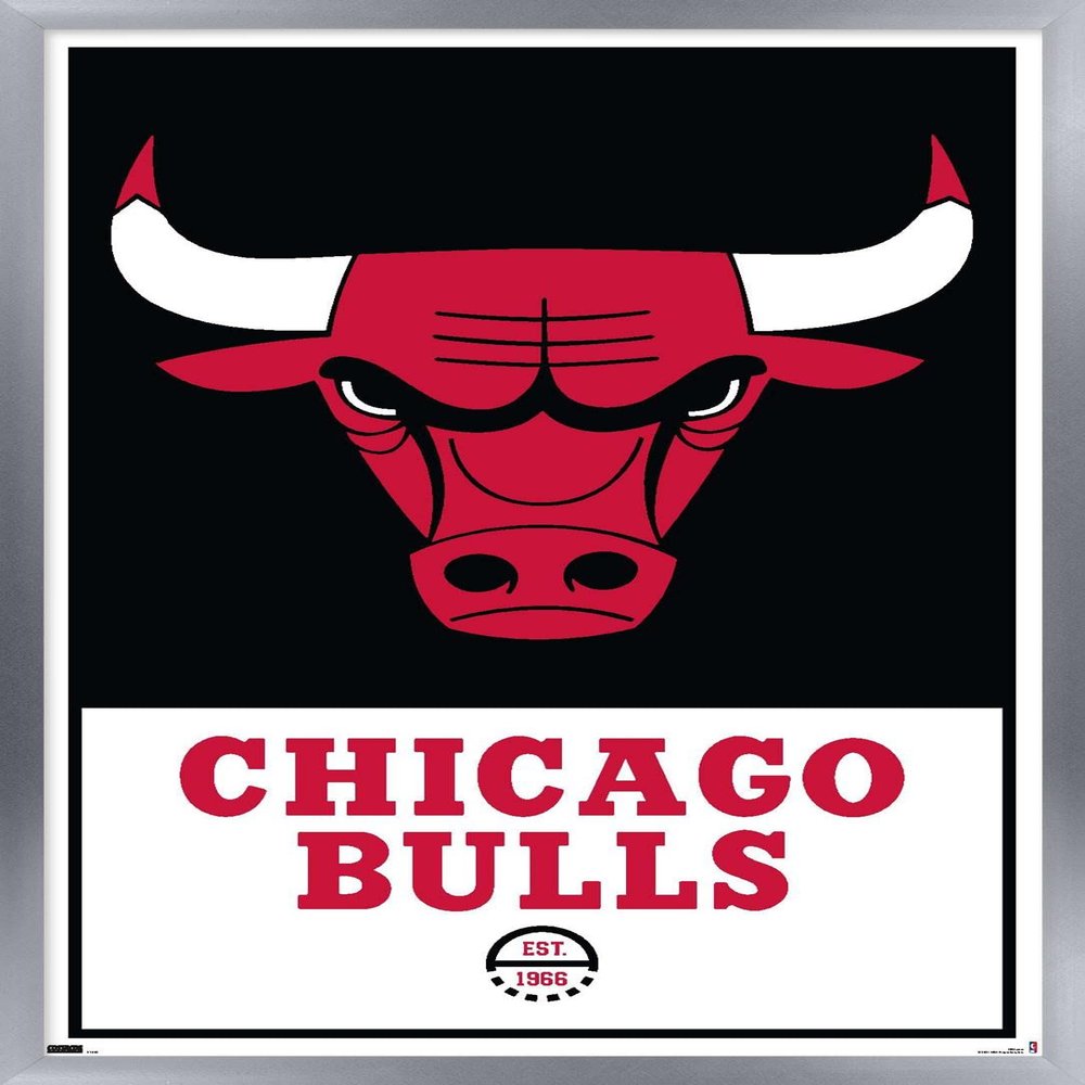Trends International NBA Chicago Bulls - Logo 21 Wall Poster, 14.725" x 22.375", Silver Framed Version