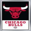 Trends International NBA Chicago Bulls - Logo 21 Wall Poster, 14.725" x 22.375", Silver Framed Version view 1
