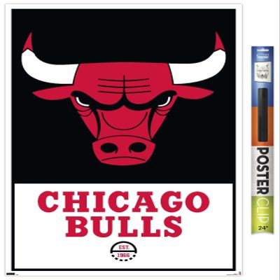 Trends International NBA Chicago Bulls - Logo 21 Wall Poster, 22.375" x 34", Premium Poster & Clip Bundle