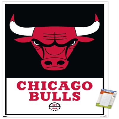 Trends International NBA Chicago Bulls - Logo 21 Wall Poster, 22.375" x 34", Premium Poster & Mount Bundle