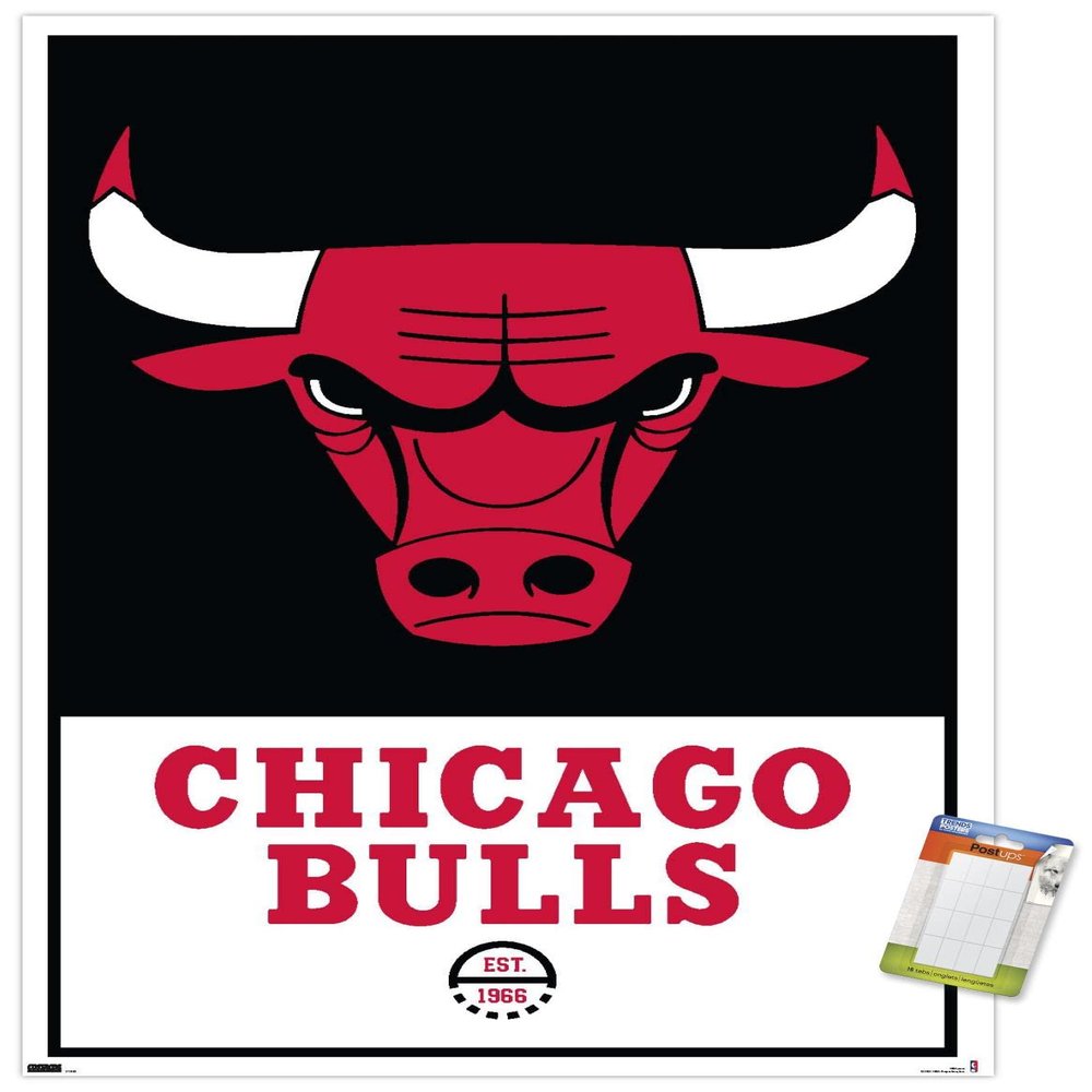 Trends International NBA Chicago Bulls - Logo 21 Wall Poster, 22.375" x 34", Premium Poster & Mount Bundle