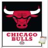 Trends International NBA Chicago Bulls - Logo 21 Wall Poster, 22.375" x 34", Premium Poster & Mount Bundle view 1
