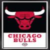 Trends International NBA Chicago Bulls - Logo 21 Wall Poster, 22.375" x 34", Black Framed Version view 1