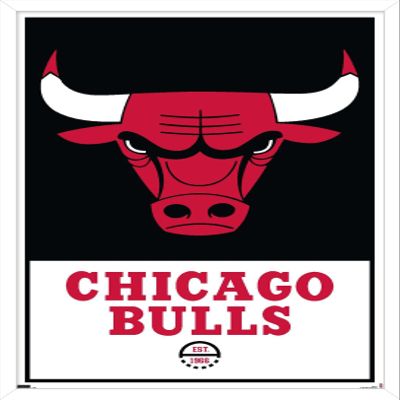 Trends International NBA Chicago Bulls - Logo 21 Wall Poster, 14.725" x 22.375", White Framed Version