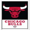 Trends International NBA Chicago Bulls - Logo 21 Wall Poster, 14.725" x 22.375", White Framed Version view 1