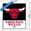 Trends International NBA Chicago Bulls - Logo 21 Wall Poster, 14.725" x 22.375", White Framed Version view 3