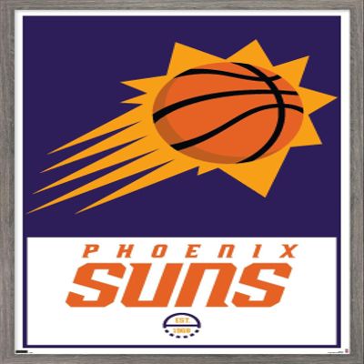 Trends International NBA Phoenix Suns - Logo 21 Wall Poster, 22.375" x 34", Barnwood Framed Version