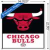 Trends International NBA Chicago Bulls - Logo 21 Wall Poster, 14.725" x 22.375", Premium Poster & Mount Bundle view 3