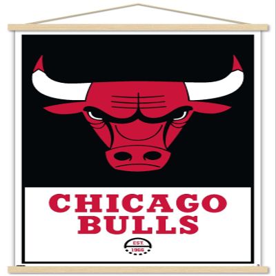 Trends International NBA Chicago Bulls - Logo 21 Wall Poster, 22.375" x 34", Print and Beechwood Hanger Bundle