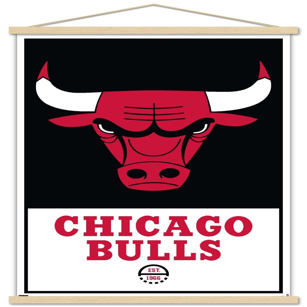 Trends International NBA Chicago Bulls - Logo 21 Wall Poster, 22.375" x 34", Print and Beechwood Hanger Bundle