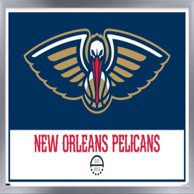 Trends International NBA New Orleans Pelicans - Logo 21 Wall Poster, 14.725" x 22.375", Silver Framed Version
