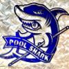 Billards Pool Shark Metal Wall Art Sign & Gift Decor Metallic Blue Powder Coat 27"x22" view 1