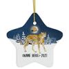 Cheetah Ornaments for 2026 Christmas Tree Personalized Name Gifts 2027 New Year Eve Decorations White Star view 1