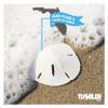 Real Sand Dollars for Crafts, Natural White Florida Sanddollars, 12 pack view 4