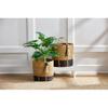 Mud Pie Seagrass Black Basket Set, Brown, 16" x 16" dia view 2