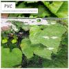 Sonakia Tarpaulin Clear Waterproof with Eyelets, Outdoor Weatherproof Plant Protection Cover, Foldable PVC Tarp, 0.5mm Tear-Resistant Tarpaulin, for Greenhouses, Gardens, Roofs,1.3x2m/4.3 * 6.6ft view 4