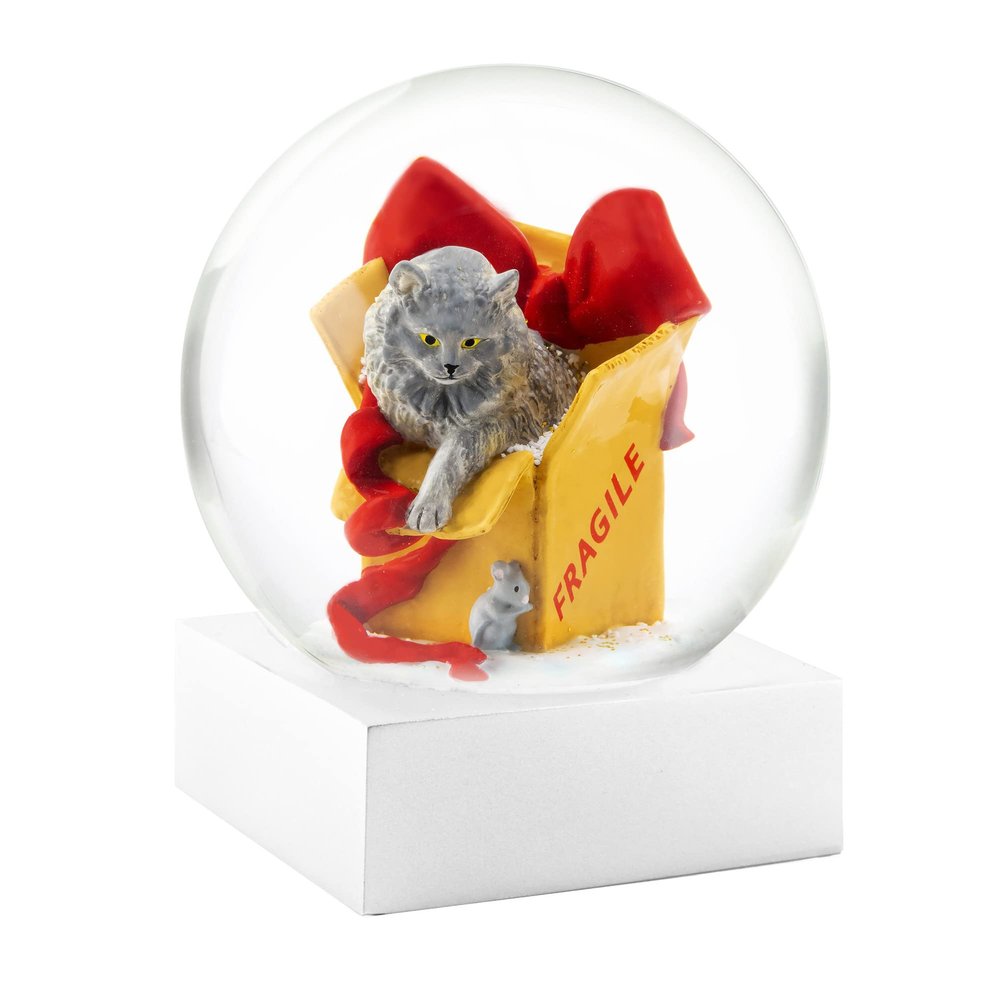 Snow Globe with Cat in Box by CoolSnowGlobes