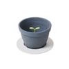 Ash Concept (H Concept) Kinome DA-1320 Semic Coffee Filter - Gray - 1 Count - Ceramic - Small Beans - Coffee Maker - Coffee view 1
