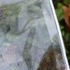 Clear Tarpaulin Waterproof Heavy Duty, Transparent PVC Tarpaulin, Rainproof Tarp Cover for Garden Greenhouse Plants, Various Sizes, 1m 1.5m 2m 2.5m 3m 3.5m 4m 4.5m 5m,Transparent-1.52.5m/4.98.2ft view 2