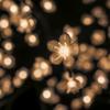 Floral Lights-Floral Lights-Cherry Blossom Tree with 160WW LEDs view 3