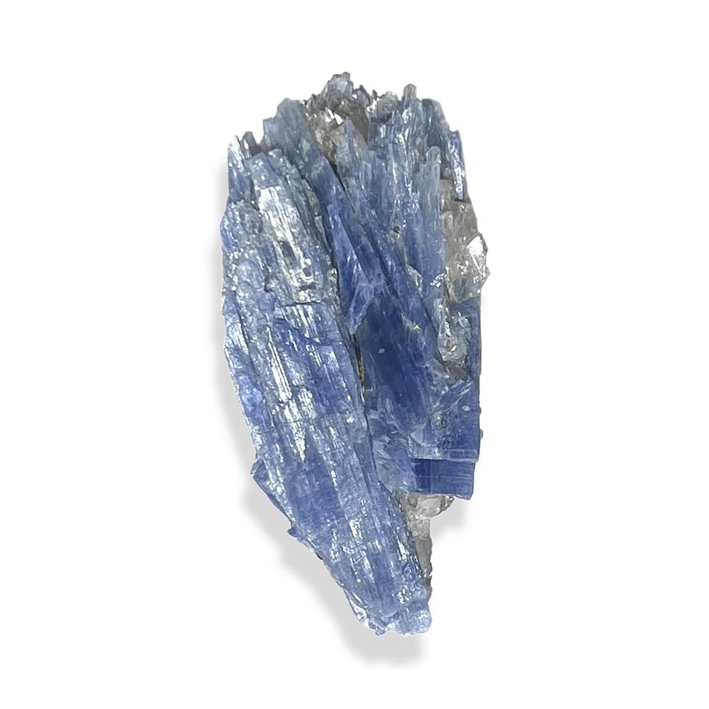 Starborn Blue Kyanite Crystal One Medium Piece