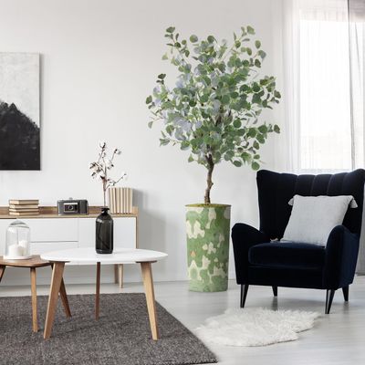 Artificial Tree in Modern Planter, Fake Eucalyptus Silk Tree for Indoor and Outdoor Home Decoration - 66" Overall Tall (Plant Pot Plus Tree)
