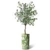 Artificial Tree in Modern Planter, Fake Eucalyptus Silk Tree for Indoor and Outdoor Home Decoration - 66" Overall Tall (Plant Pot Plus Tree) view 2