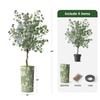 Artificial Tree in Modern Planter, Fake Eucalyptus Silk Tree for Indoor and Outdoor Home Decoration - 66" Overall Tall (Plant Pot Plus Tree) view 3