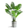 Artificial Tree in Modern Planter, Fake Monstera Silk Tree for Indoor and Outdoor Home Decoration - 56" Overall Tall (Plant Pot Plus Tree) view 2
