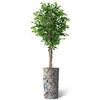 Artificial Tree in Contemporary Geometric Pattern Planter, Fake Ficus Silk Tree for Indoor and Outdoor Home Decoration - 75" Overall Tall (Plant Pot Plus Tree) view 2