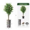 Artificial Tree in Contemporary Geometric Pattern Planter, Fake Ficus Silk Tree for Indoor and Outdoor Home Decoration - 75" Overall Tall (Plant Pot Plus Tree) view 3