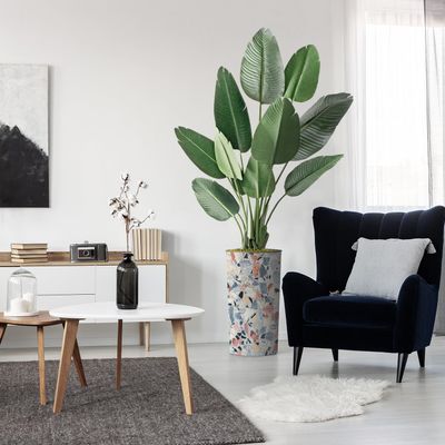 Artificial Tree in Contemporary Geometric Pattern Planter, Fake Bird of Paradise Silk Tree for Indoor and Outdoor Home Decoration - 67" Overall Tall (Plant Pot Plus Tree)