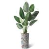 Artificial Tree in Contemporary Geometric Pattern Planter, Fake Bird of Paradise Silk Tree for Indoor and Outdoor Home Decoration - 67" Overall Tall (Plant Pot Plus Tree) view 2
