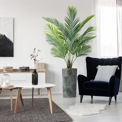 Artificial Tree in Contemporary Planter, Fake Areca Tropical Palm Silk Tree for Indoor and Outdoor Home Decoration - 66" Overall Tall (Plant Pot Plus Tree)