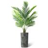 Artificial Tree in Contemporary Planter, Fake Areca Tropical Palm Silk Tree for Indoor and Outdoor Home Decoration - 66" Overall Tall (Plant Pot Plus Tree) view 2