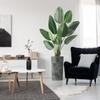 Artificial Tree in Contemporary Planter, Fake Bird of Paradise Silk Tree for Indoor and Outdoor Home Decoration - 67" Overall Tall (Plant Pot Plus Tree) view 1