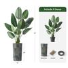 Artificial Tree in Contemporary Planter, Fake Bird of Paradise Silk Tree for Indoor and Outdoor Home Decoration - 67" Overall Tall (Plant Pot Plus Tree) view 3