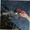 LIOOBO Fishing Kit Tools 1Pc Fish Catching Clamp Outdoor Multifunctional Non- Catching Clip T Tool Pliers view 4