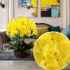 FagusHome 32 Inch Artificial Phalaenopsis Flowers 6 Pcs Artificial Orchid Flowers Stem Plants for Home Dcor (Yellow) view 3